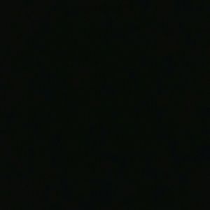 Meet your Posher, Rose