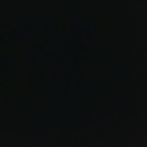 Meet your Posher, Ricki