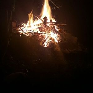 Meet your Posher, Janise