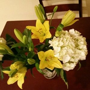 Meet your Posher, Crystal