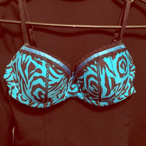 Aqua zebra bra.