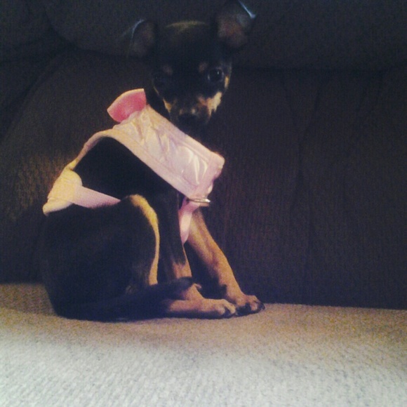 Meet your Posher, Stacy - Picture 1 of 1