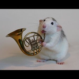 Meet your Posher, Leah