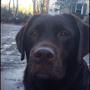 Meet your Posher, Nicky