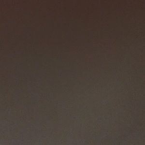 Meet your Posher, Reagan