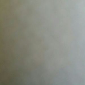 Meet your Posher, Torrie