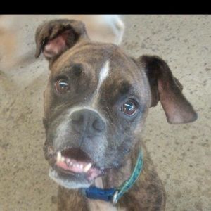 Meet your Posher, Kiera