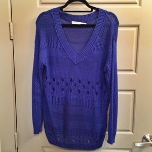 Blue Distressed Sweater