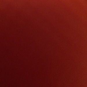 Meet your Posher, Shaniqua