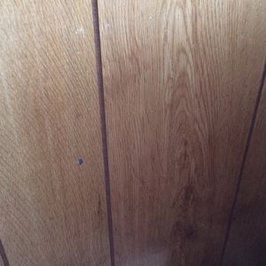 Meet your Posher, Vicki