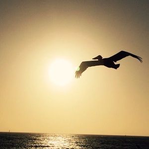 Meet your Posher, Aretusa