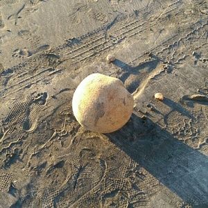 Meet your Posher, Elena