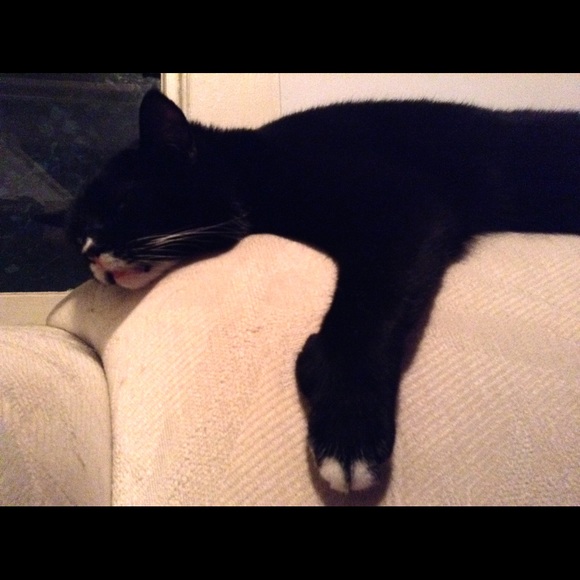 Meet your Posher, Amanda - Picture 1 of 1