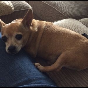 Meet your Posher, Erica