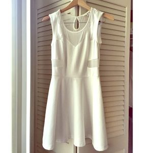 Mesh Panel Skater Dress