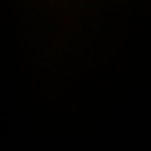 Meet your Posher, Kelsi