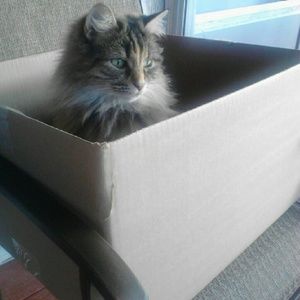 Meet your Posher, Jeanna