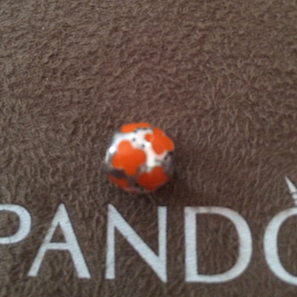Authetic pandora charm