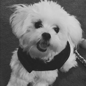 Meet your Posher, Alexa