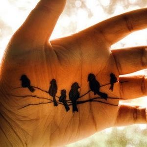 Meet your Posher, Natalie