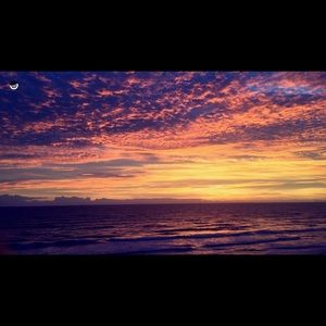 Meet your Posher, Ella