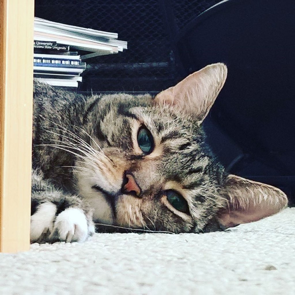 Meet your Posher, Amy - Picture 5 of 8