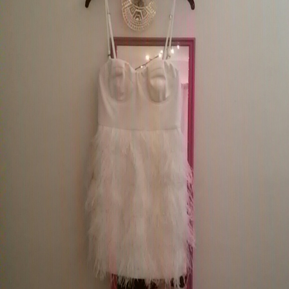 NWT ark & co feather corset dress