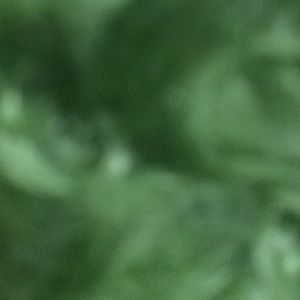 Meet your Posher, Cishf