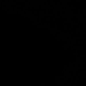 Meet your Posher, Letasha