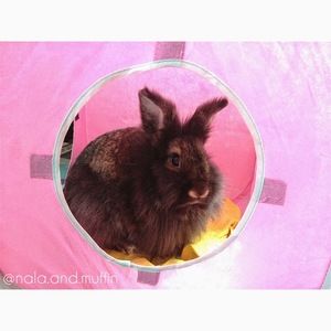 Meet your Posher, Sami