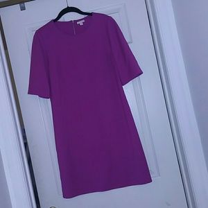 Gap- Magenta Shift dress