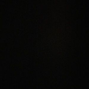 Meet your Posher, Marlene