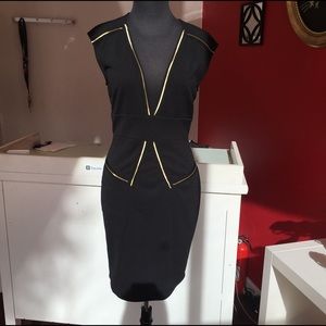 Gold Trim Fitted Dress
