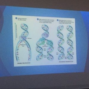 Meet your Posher, Erick