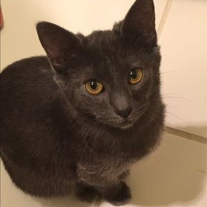 Meet your Posher, Megan