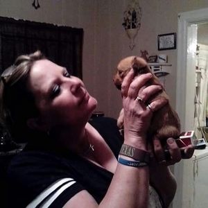 Meet your Posher, Dianne