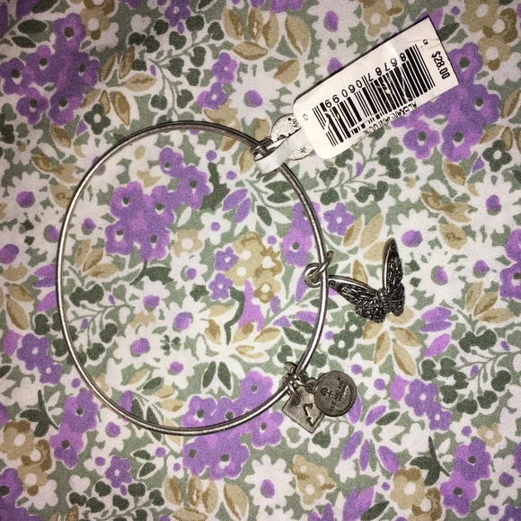 Silver Alex & Ani