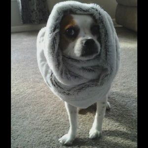 Meet your Posher, Stephanie