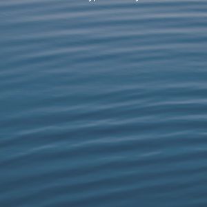 Meet your Posher, Jake