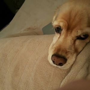 Meet your Posher, Tammy