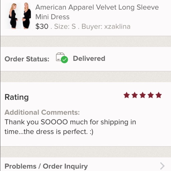 American apparel velvet dress