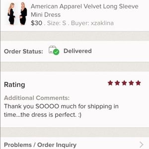 American apparel velvet dress