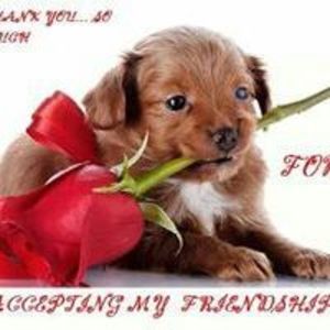 Meet your Posher, Karen