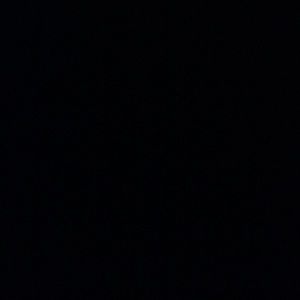 Meet your Posher, Amelia