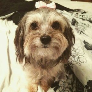 Meet your Posher, Kristi