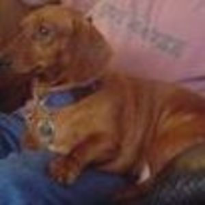 Meet your Posher, Kay