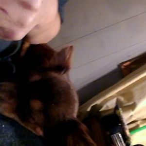 Meet your Posher, Paula