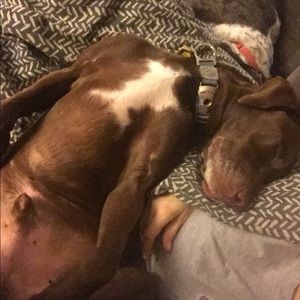 Meet your Posher, Dorothy