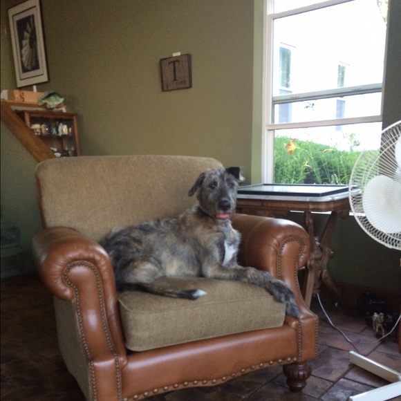 Meet your Posher, Maggie