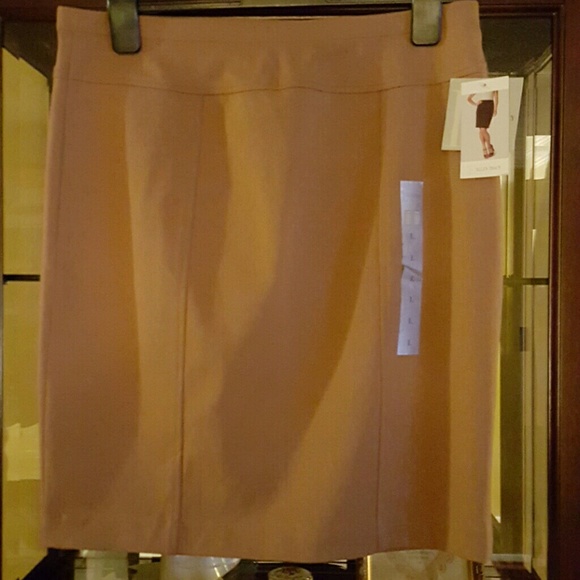Cute Tan Pencil Skirt